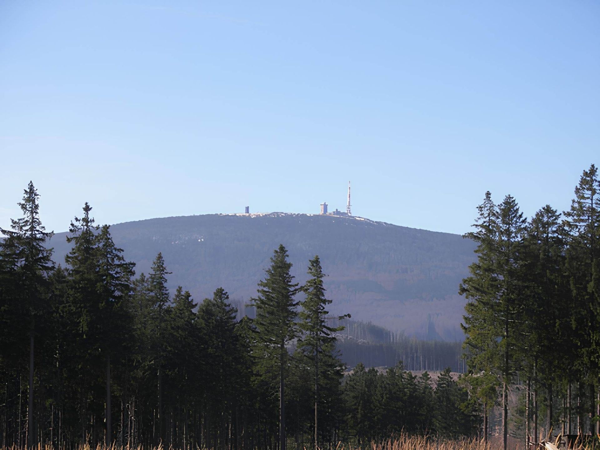 Landschaftsaufnahme mit dunkelgrünen Tannen im Vordergrund und den Broken im Hintergrund